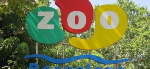 SORTIDA AL ZOO