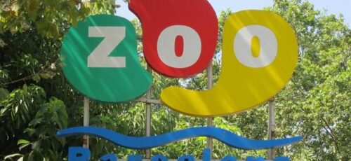 Salida al Zoo de Barcelona